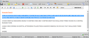 Story_Editor_-_Broadcast_-_Selected_Time.png