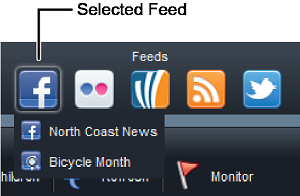 Main_Toolbar_-_Feeds_-_Menu.png
