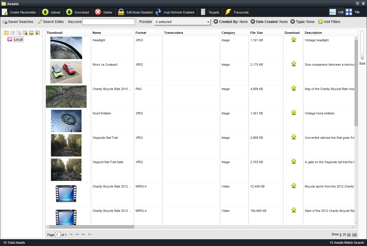 Asset Editor Panel