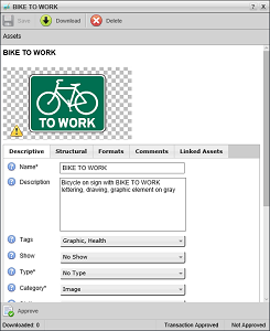 Asset_Editor_-_Download_AP_Media.png