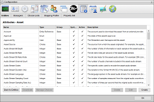 Configuration_-_Metadata_-_Entities_-_Custom_Attributes.png